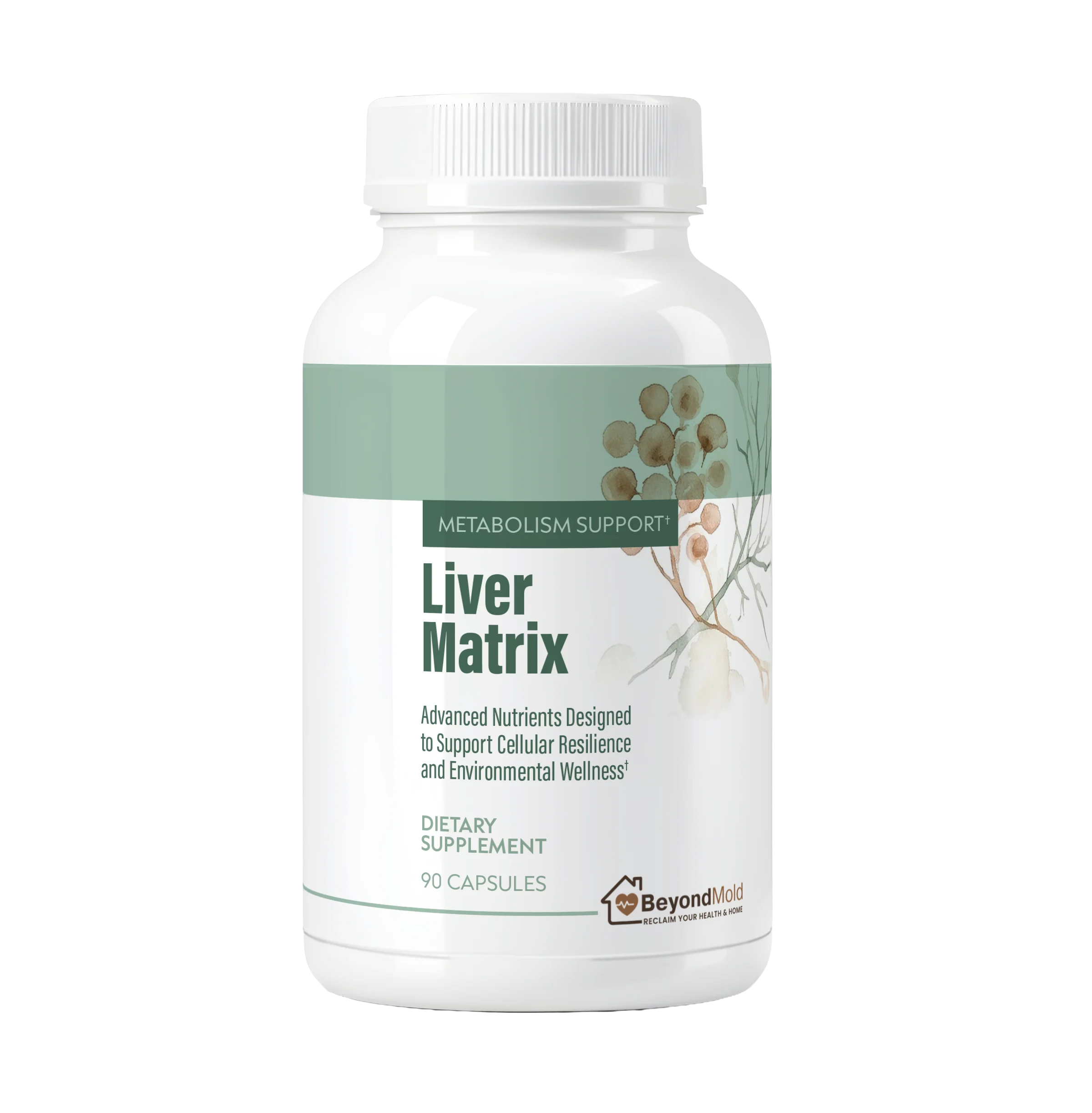 Liver Matrix